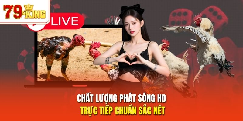 Chất lượng phát sóng HD trực tiếp chuẩn sắc nét